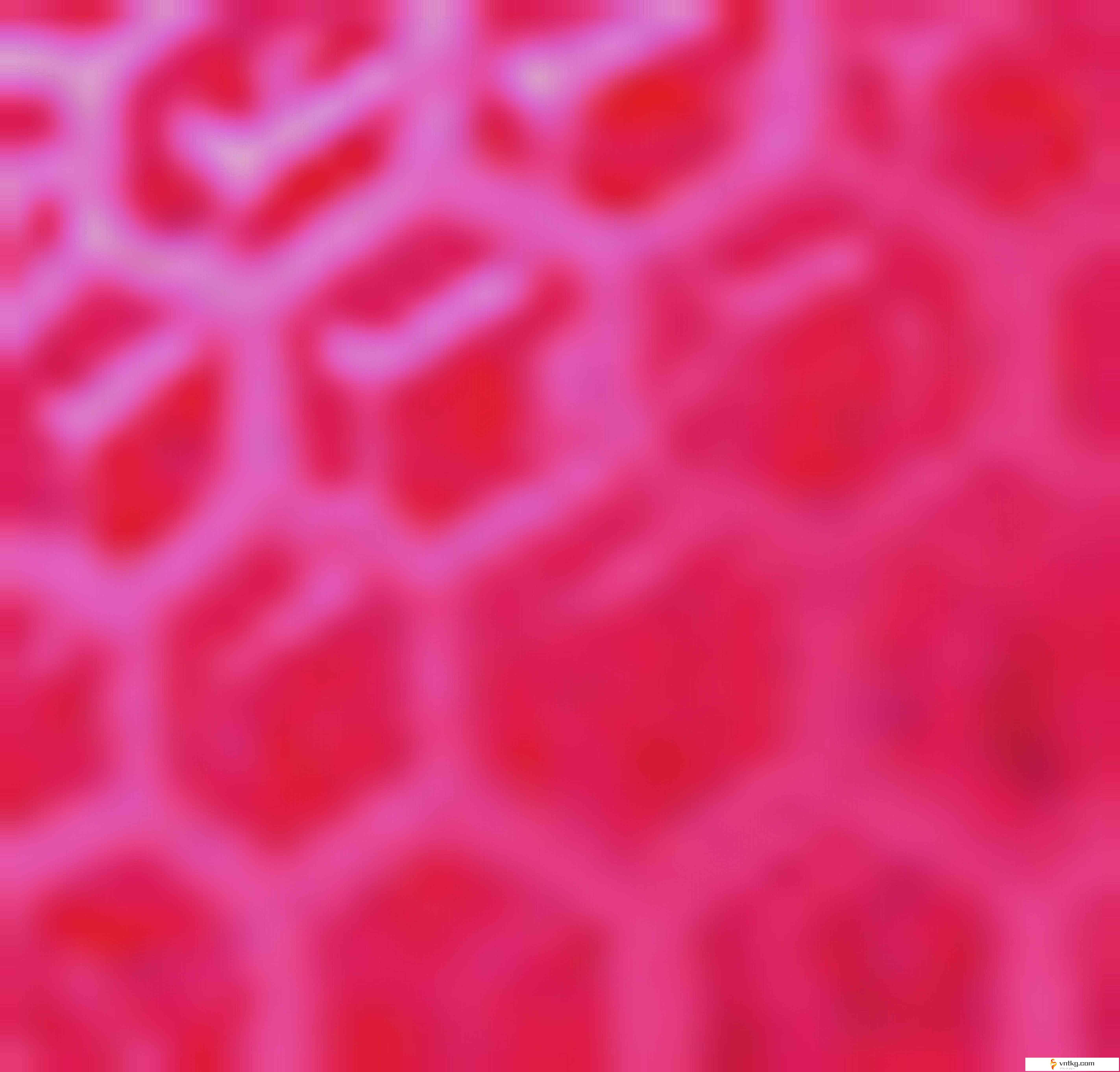 アクリル（Ultra Mode）　蛍光ピンク